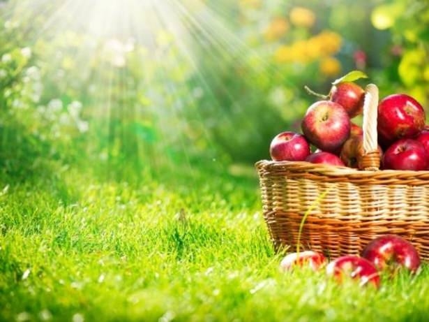 Ömrü uzatan 22 altın öneri 6