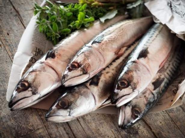 Ömrü uzatan 22 altın öneri 9