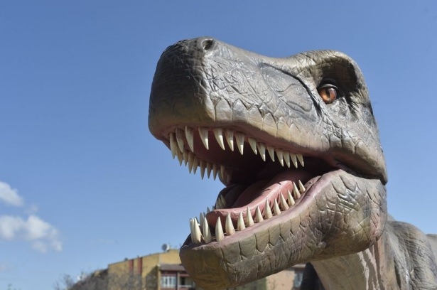 Robot heykeli kaldırıldı, yerine... 11