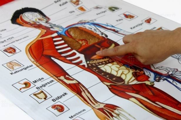 İnsan vücudunun mucizeleri 1