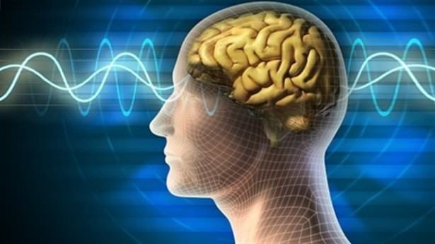 İnsan vücudunun mucizeleri 11