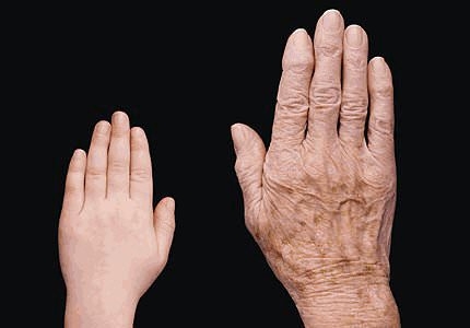 İnsan vücudunun mucizeleri 15