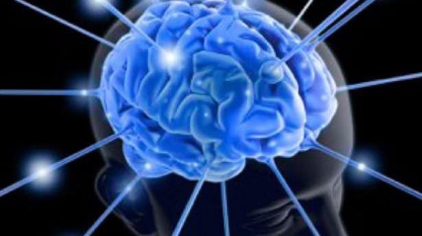 İnsan vücudunun mucizeleri 16