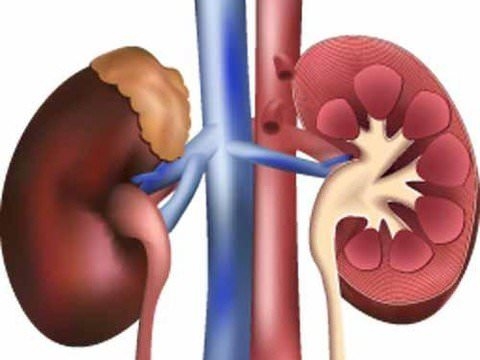 İnsan vücudunun mucizeleri 17