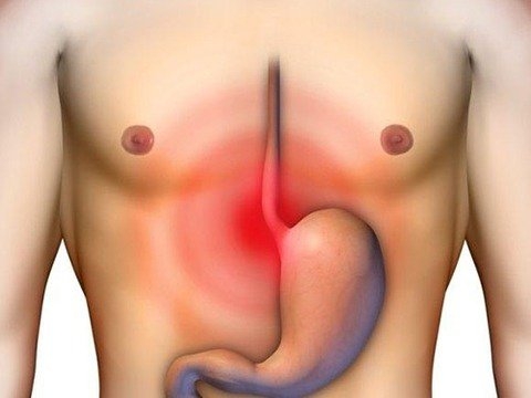 İnsan vücudunun mucizeleri 19