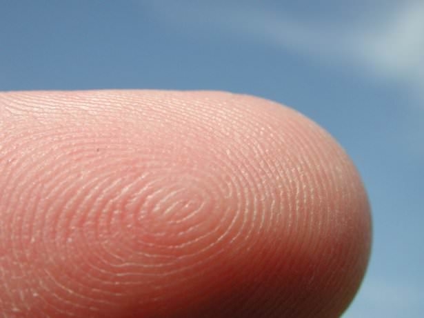 İnsan vücudunun mucizeleri 2