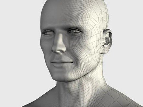 İnsan vücudunun mucizeleri 25