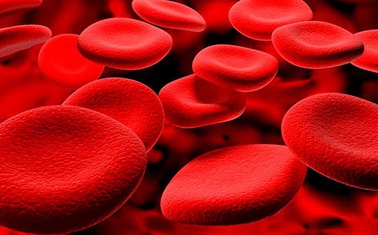 İnsan vücudunun mucizeleri 31