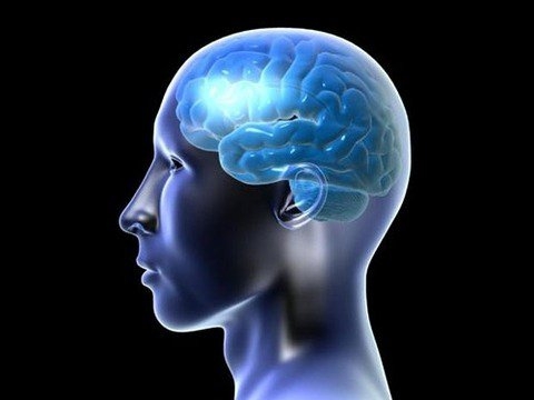 İnsan vücudunun mucizeleri 5