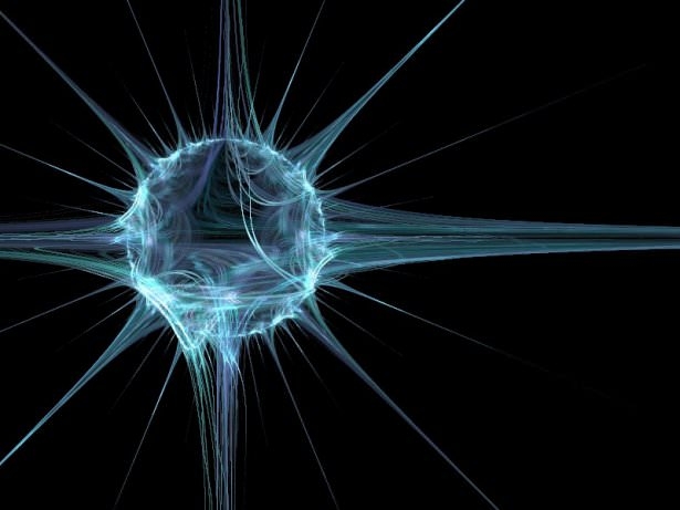 İnsan vücudunun mucizeleri 6