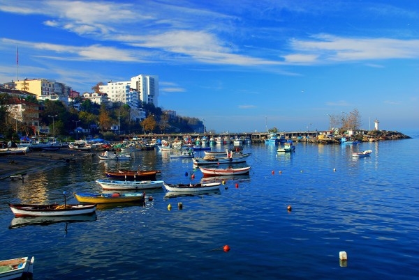 Türkiye'nin hemşehri haritası 71
