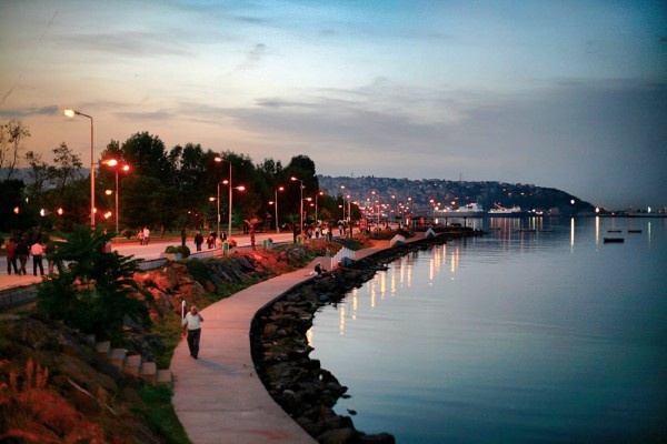 Türkiye'nin hemşehri haritası 9