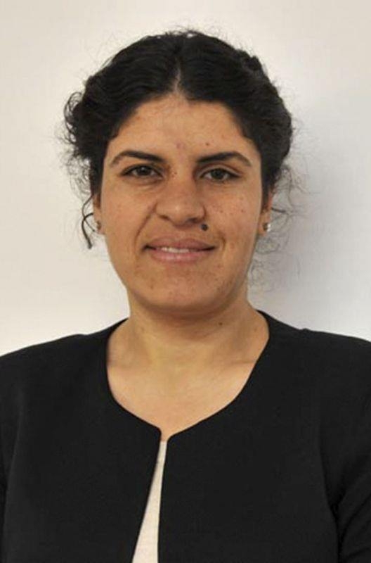 İl il HDP'nin milletvekilleri ve oy oranları 114