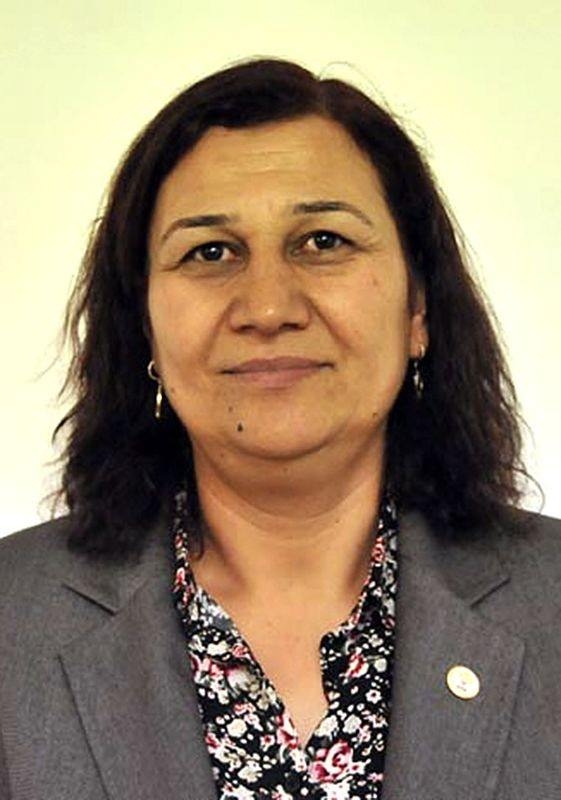 İl il HDP'nin milletvekilleri ve oy oranları 116