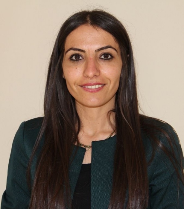 İl il HDP'nin milletvekilleri ve oy oranları 133