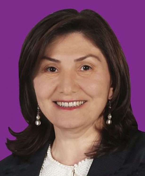 İl il HDP'nin milletvekilleri ve oy oranları 33