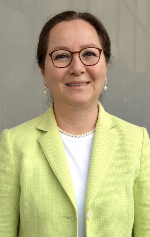 İl il MHP'nin milletvekilleri ve oy oranları 60