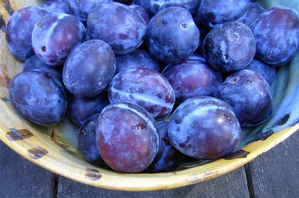 Düzenli olarak yenilmesi gereken yiyecekler 11