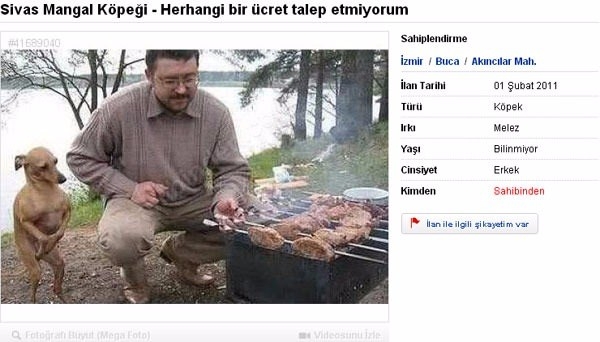 Efsane olmuş en komik ilanlar 24