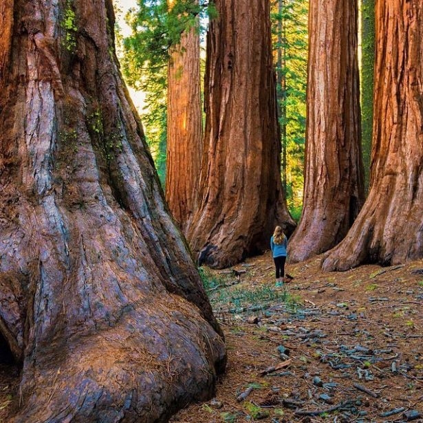 Dünyanın inanılmaz manzaraları 13