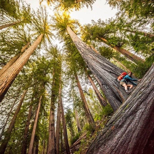 Dünyanın inanılmaz manzaraları 17