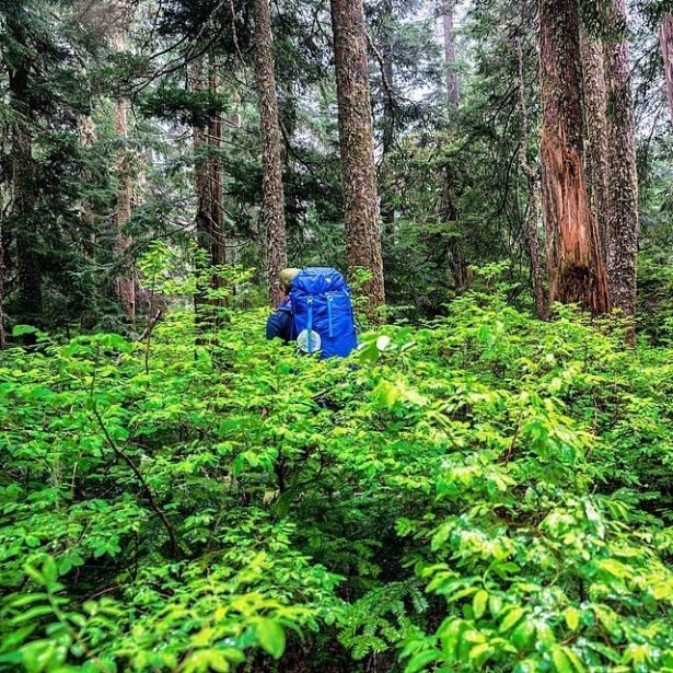 Dünyanın inanılmaz manzaraları 20
