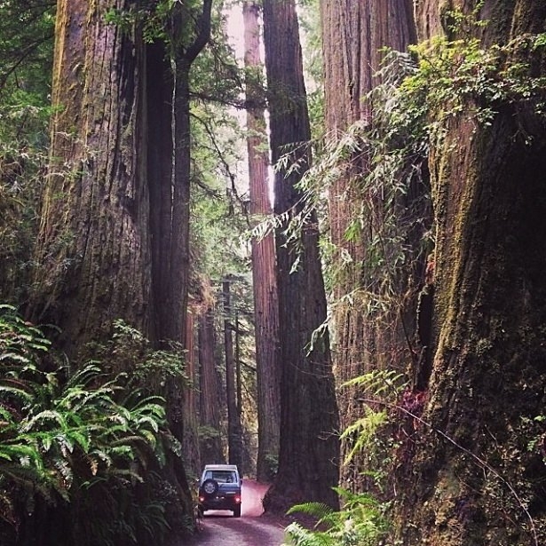 Dünyanın inanılmaz manzaraları 27