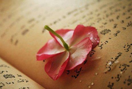 Peygamber Efendimiz (S.A.V)'in  Ramazanı 17