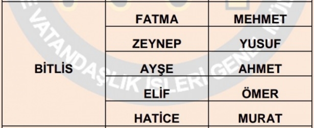 İllere göre en çok kullanılan isimler 12