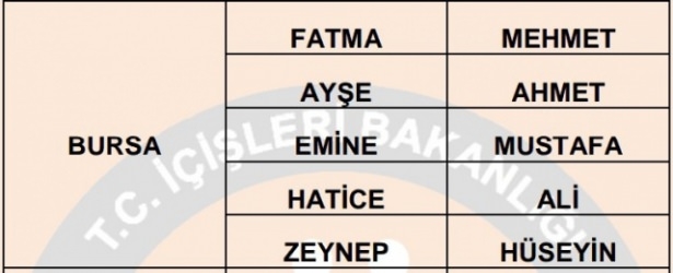 İllere göre en çok kullanılan isimler 15