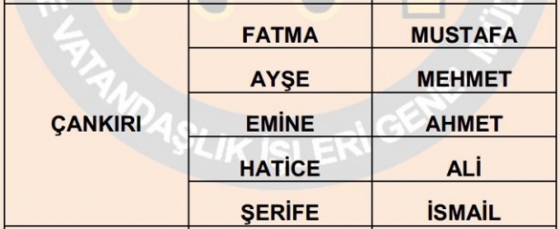 İllere göre en çok kullanılan isimler 17