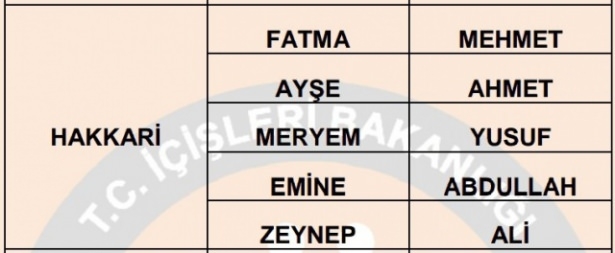 İllere göre en çok kullanılan isimler 31