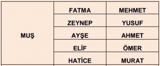 İllere göre en çok kullanılan isimler 58