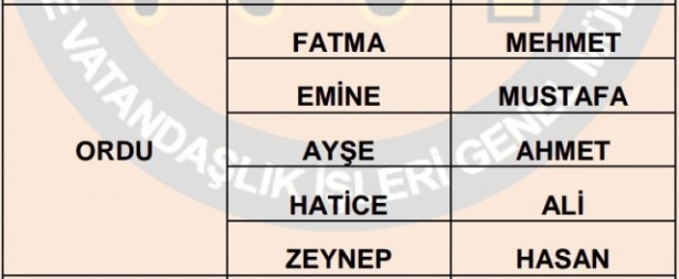 İllere göre en çok kullanılan isimler 61