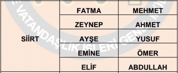 İllere göre en çok kullanılan isimler 66