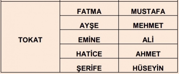 İllere göre en çok kullanılan isimler 73