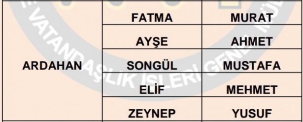 İllere göre en çok kullanılan isimler 79