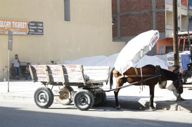 Yurdum insanı işte böyle serinledi 13