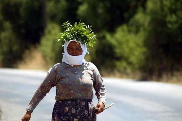 Yurdum insanı işte böyle serinledi 14