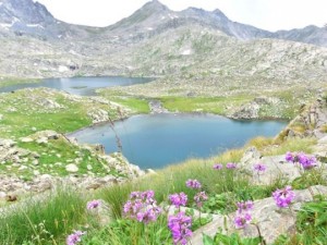 Verçenik Dağı'nın göllerine yoğun ilgi