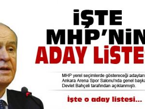 İşte MHP'nin aday listesi