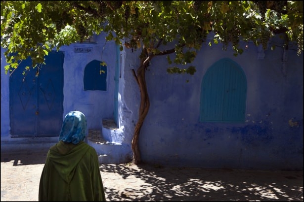 Mavi şehrin 'Akrep sırrı!' 10