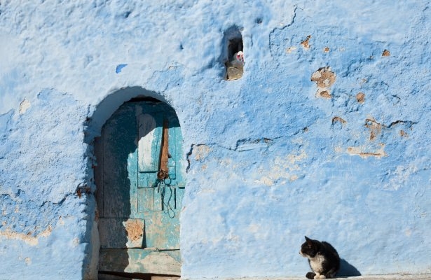 Mavi şehrin 'Akrep sırrı!' 17