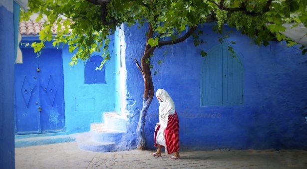 Mavi şehrin 'Akrep sırrı!' 2