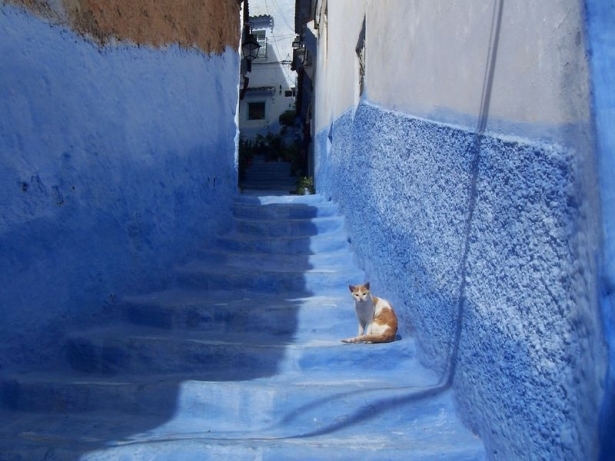 Mavi şehrin 'Akrep sırrı!' 23