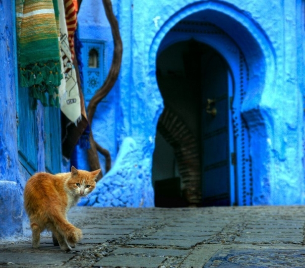 Mavi şehrin 'Akrep sırrı!' 24