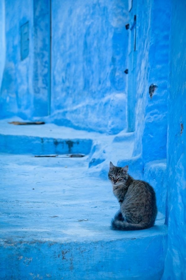 Mavi şehrin 'Akrep sırrı!' 27