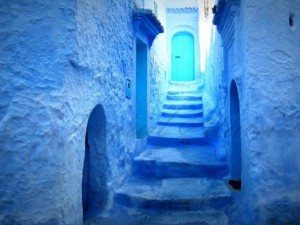 Mavi şehrin 'Akrep sırrı!'