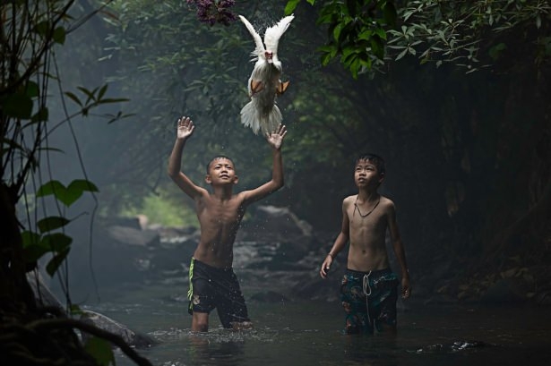 National Geographic 2015’in kazanan fotoğrafları 6