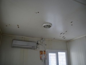 PKK okullara da saldırdı